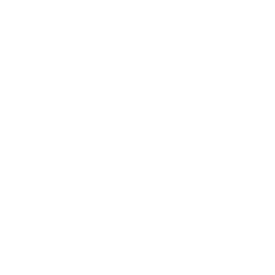 Other Experiences Logo